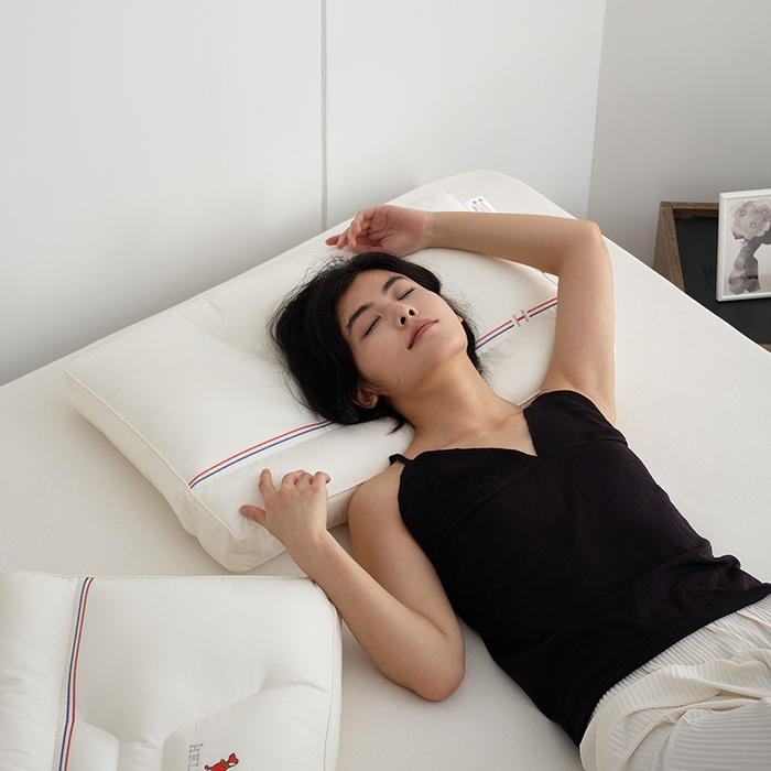 91家纺网 家纺一手货源 找家纺 （总）方回家纺 2023新款英伦GO-2款枕头枕芯 