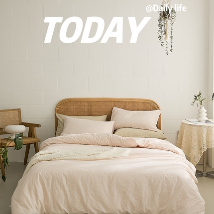 新款秋冬40S水洗棉四件套-晚风（英文版） 晚风-玉粉