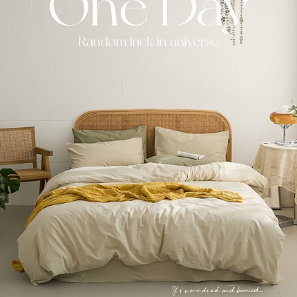 新款秋冬40S水洗棉四件套-晚风（英文版） 晚风-亚麻色