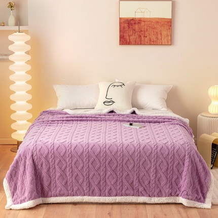 梵克保罗 2023直播新款热款高克重双面绒塔芙绒羊羔绒复合提花毯子毛毯盖毯 优雅紫