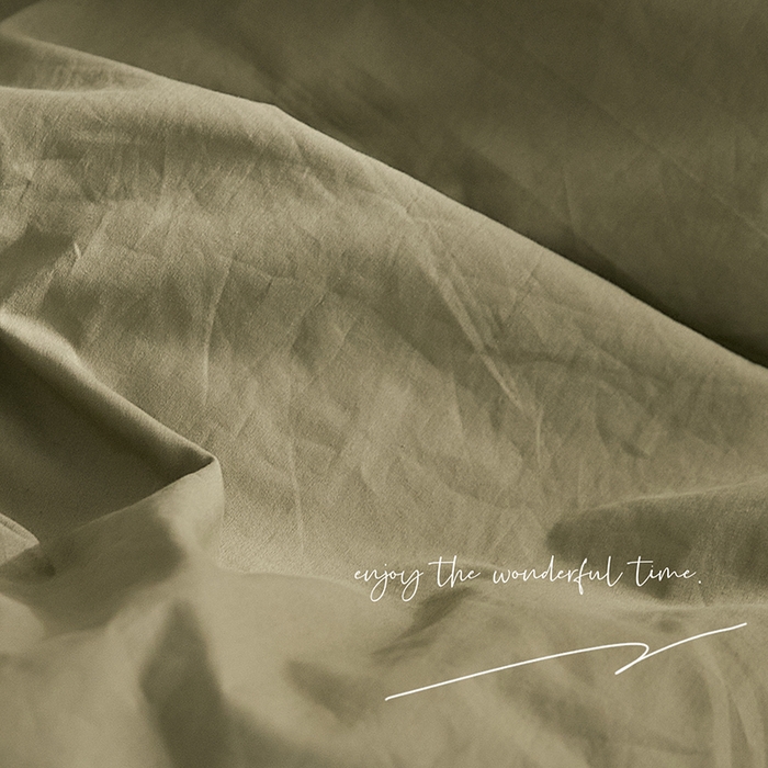 91家纺网 家纺一手货源 找家纺 新款秋冬40S水洗棉四件套-晚风（英文版） 晚风-春辰绿