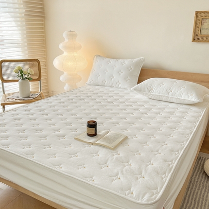 尊康家纺（原磊科） 2024新款全棉色织大豆夹棉床笠防水床笠-浓情蜜意 白色