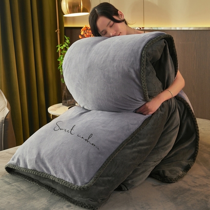 91家纺网 家纺一手货源 找家纺 （总）吾诺家居 2023新款秋冬保暖二合一可拆洗冬被被子被芯-双拼色