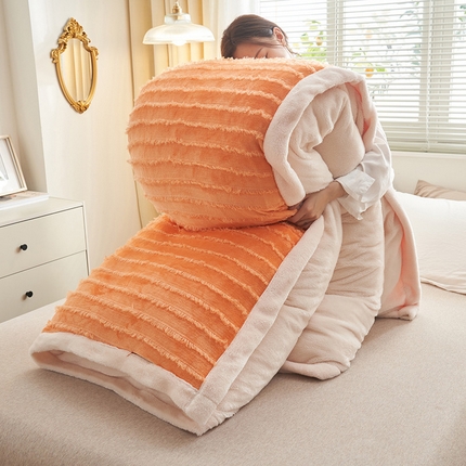 91家纺网 家纺一手货源 找家纺 （总）吾诺家居 2023新款秋冬保暖二合一可拆洗冬被被子被芯-流苏绒