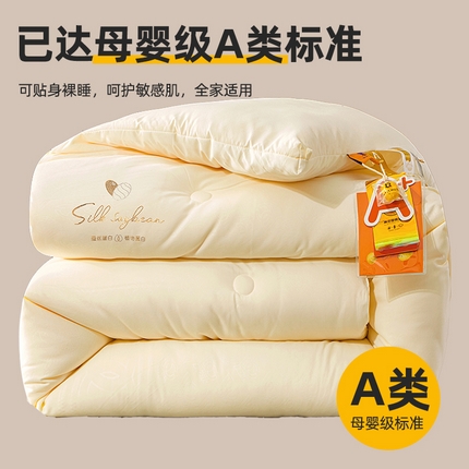 2023秋冬新款A类压花蚕蛹蛋白被 被子被芯 白色