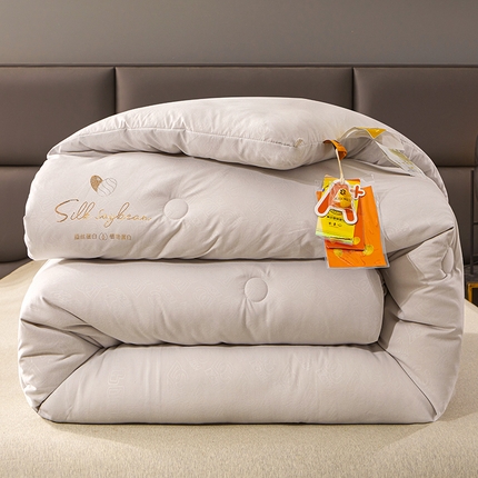 2023秋冬新款A类压花蚕蛹蛋白被 被子被芯 灰色