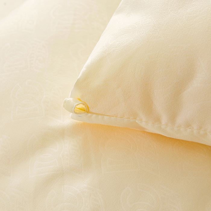 91家纺网 家纺一手货源 找家纺 2023秋冬新款A类压花蚕蛹蛋白被 被子被芯 白色