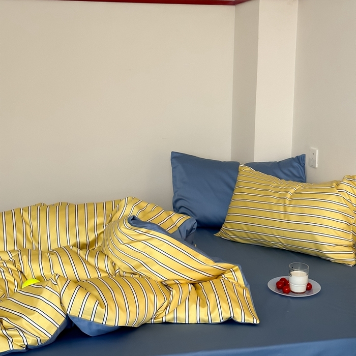 91家纺网 家纺一手货源 找家纺 时年 2023新款100支数码印花条纹四件套 复古珞黄