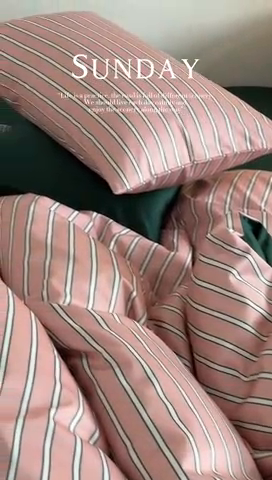 91家纺网 家纺一手货源 找家纺 （总）时年 2023新款100支数码印花条纹四件套