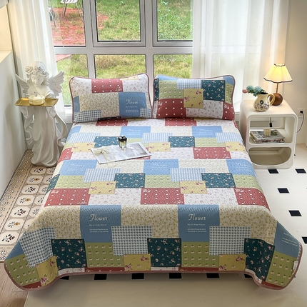 2024新款40支棉加绒单床盖三件套双面可用全棉加厚婴儿绒 春雨绵绵