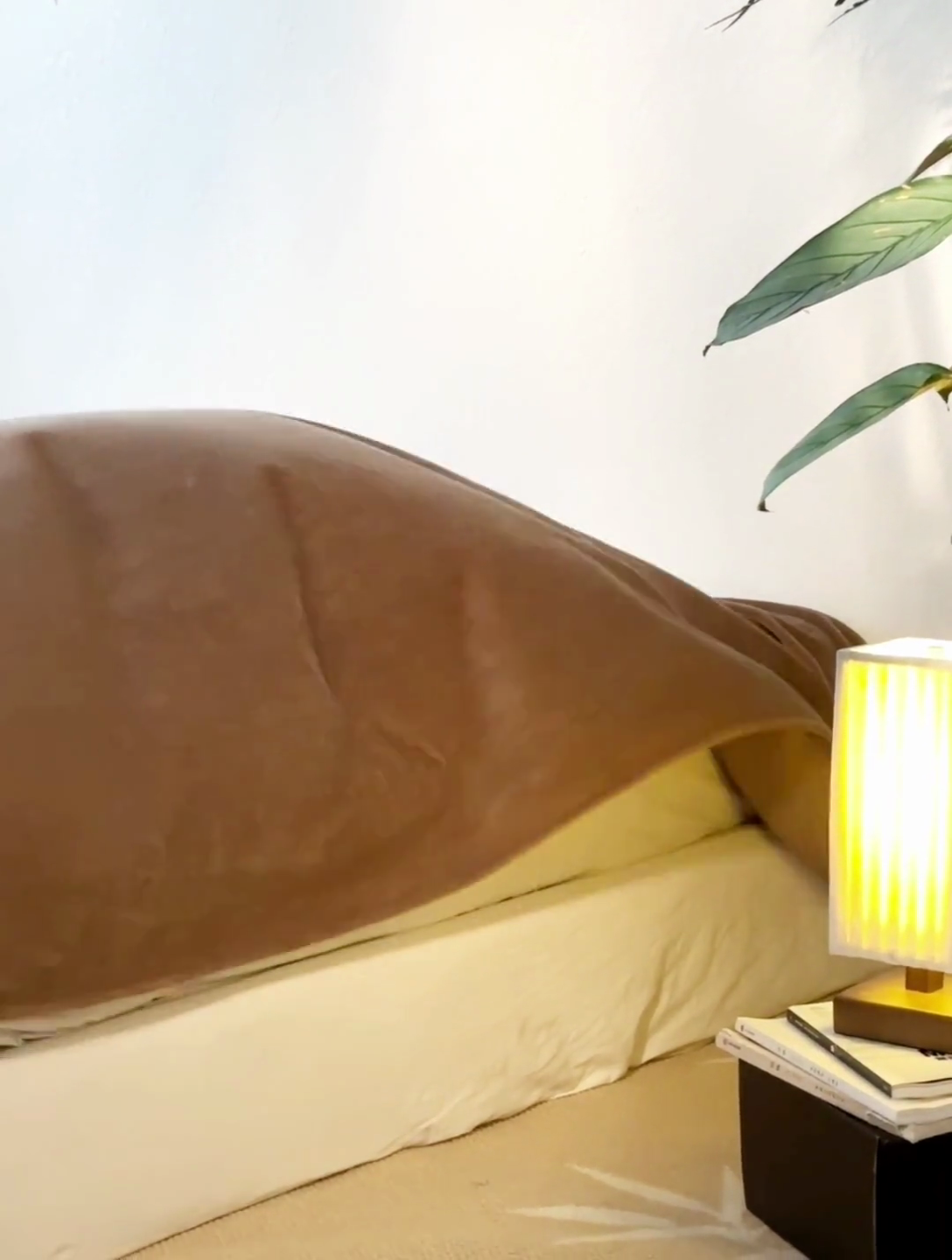 91家纺网 家纺一手货源 找家纺 安莱生活 2023新款雕花绒牛奶绒毛巾绣“青松躺平”四件套放青松-棕松