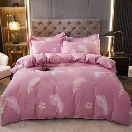 伊而梦 2023新款全棉磨毛印花四件套系列四件套 梦之羽-粉