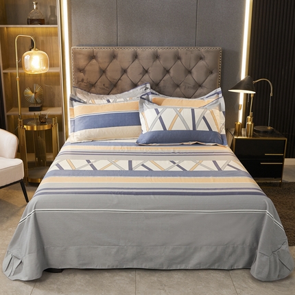 伊而梦 2023新款全棉磨毛印花四件套系列单品床单 梦动之城-灰