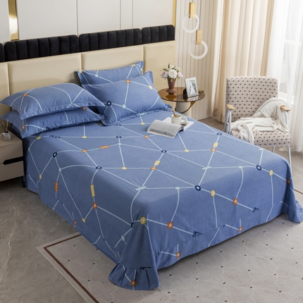 伊而梦 2023新款全棉磨毛印花四件套系列单品床单 奇趣世界