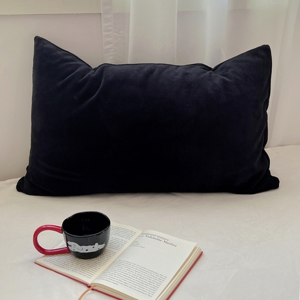 91家纺网 家纺一手货源 找家纺 桃喜 2024新款牛奶绒纯色混搭系列单枕套 纯黑