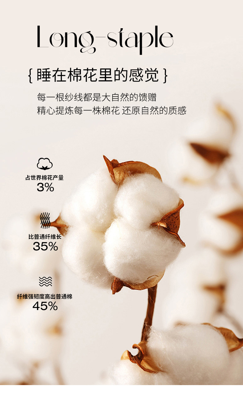91家纺网 家纺一手货源 找家纺 凯芙琳家居 2023新款AB双版特厚保温原棉生态暖绒磨毛印花四件套-风格二 克洛伊