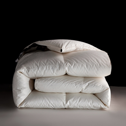 91家纺网 家纺一手货源 找家纺 （总）丽笙被芯 2023新款波兰进口至尊鹅绒被