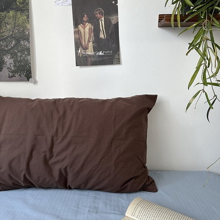 91家纺网 家纺一手货源 找家纺 （总）恋恋三季 2024新款40支13372中古风全棉印花单枕套-塞纳河畔（风格一）