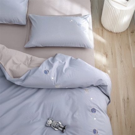 91家纺网 家纺一手货源 找家纺 （总）云胡 2023新款流浪地球高支纯棉轻磨毛绣花工艺四件套