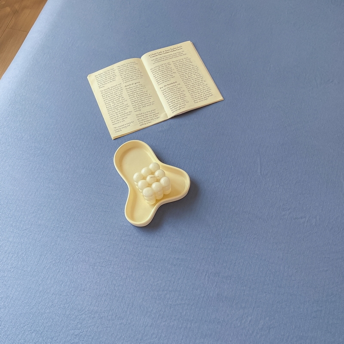 91家纺网 家纺一手货源 找家纺 火星时代网供 2023新款A类小竺棉枕套 冰星兰