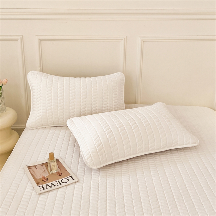 91家纺网 家纺一手货源 找家纺 梦舒羽 2025新款抗菌防水四季款夹棉枕套枕芯套内胆套 轻奢款-珍珠白