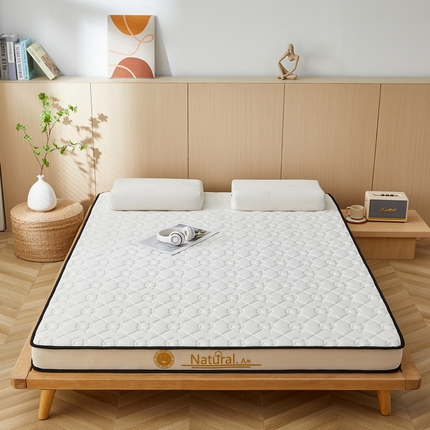 91家纺网 家纺一手货源 找家纺 （总）祁恋婷家居 2024新款A类牛奶丝乳胶记忆棉床垫【床垫遮盖物】