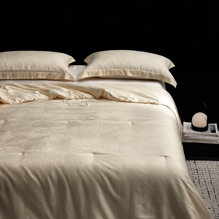 91家纺网 家纺一手货源 找家纺 （总）丽笙被芯 2024新款手工珍品桑蚕丝被