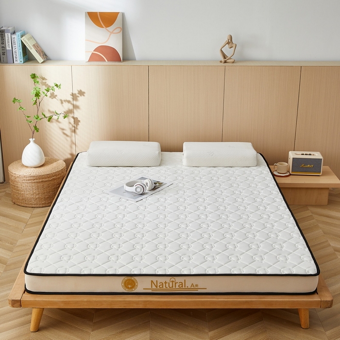 91家纺网 家纺一手货源 找家纺 祁恋婷家居 2024新款A类牛奶丝乳胶记忆棉床垫【床垫遮盖物】 新疆棉花奶昔白