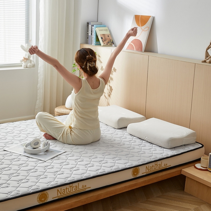 91家纺网 家纺一手货源 找家纺 （总）祁恋婷家居 2024新款A类牛奶丝乳胶记忆棉床垫【床垫遮盖物】