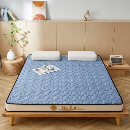 91家纺网 家纺一手货源 找家纺 祁恋婷家居 2024新款A类牛奶丝乳胶记忆棉床垫【床垫遮盖物】 新疆棉花魅海蓝