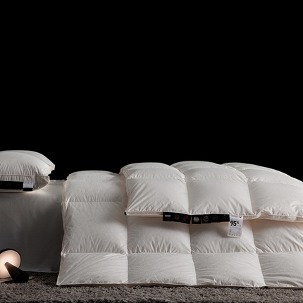 91家纺网 家纺一手货源 找家纺 （总）丽笙被芯 2024新款波兰进口至尊鹅绒被