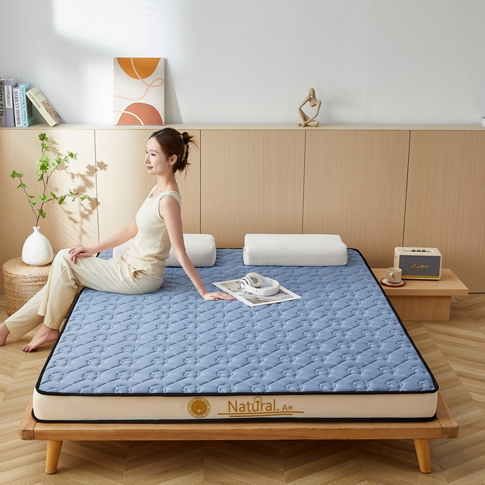 91家纺网 家纺一手货源 找家纺 祁恋婷家居 2024新款A类牛奶丝乳胶记忆棉床垫【床垫遮盖物】 新疆棉花魅海蓝