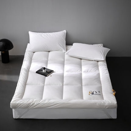 91家纺网 家纺一手货源 找家纺 头等舱 2025新款全棉A类80大豆抗菌立体软床垫床褥 月光白