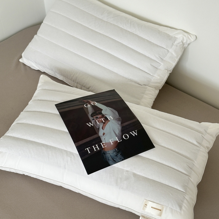 91家纺网 家纺一手货源 找家纺 （总）伟邦枕芯 2024新款美式宽边荞麦两用枕