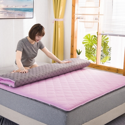 91家纺网 家纺一手货源 找家纺 （总）暖季 2025新款加厚磨毛防滑印花床垫直播供货