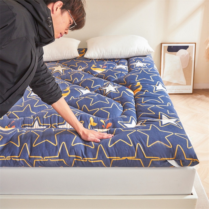 91家纺网 家纺一手货源 找家纺 富威堡家纺 2025新款植物羊绒棉花床垫 海洋童话