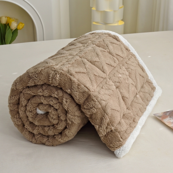 91家纺网 家纺一手货源 找家纺 凌云家纺 2025新款A类牛奶绒塔芙蓉可机洗可折叠床垫床褥 卡其