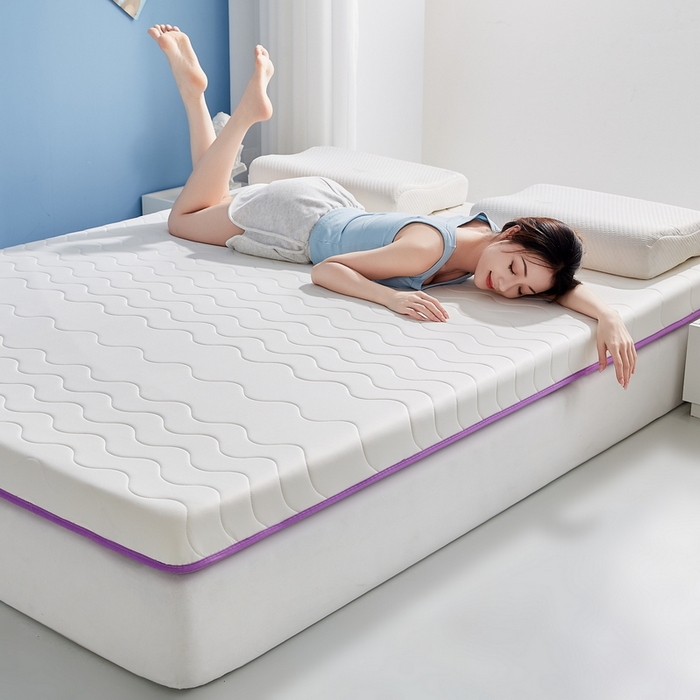 91家纺网 家纺一手货源 找家纺 （总）祁恋婷家居 2024新款牛奶丝大豆乳胶床垫【床垫遮盖物】