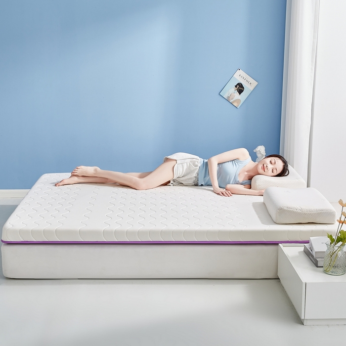 91家纺网 家纺一手货源 找家纺 祁恋婷家居 2024新款牛奶丝大豆乳胶床垫【床垫遮盖物】 太空白