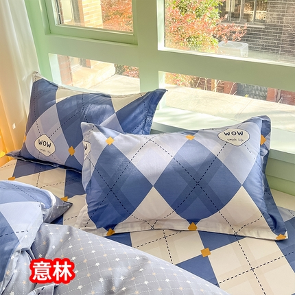 91家纺网 家纺一手货源 找家纺 （总）莱通家纺  2024新款12868印花四件套系列-单枕套