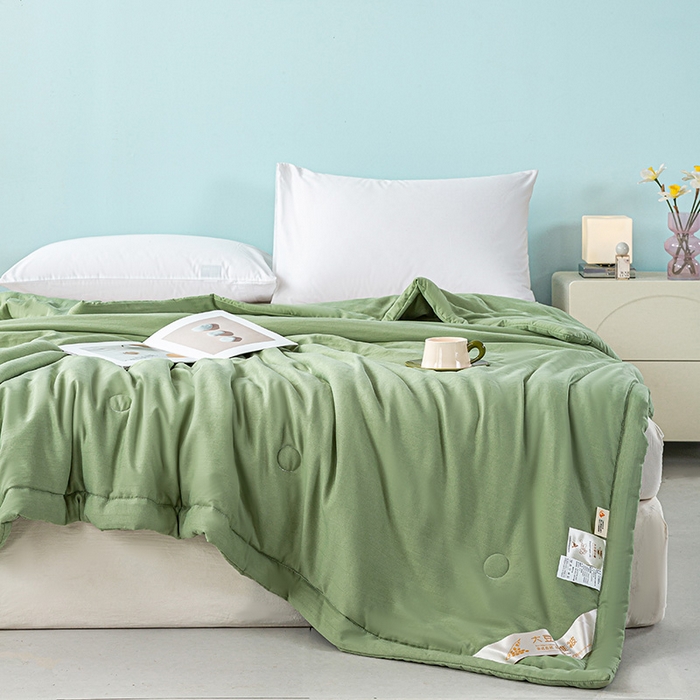 91家纺网 家纺一手货源 找家纺 森林人 2024新款A类双层纱大豆纤维夏凉被 双层纱-薄荷绿
