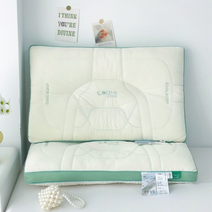 （总）爱尚家枕芯 2024新款冷循环凉感枕 枕头枕芯