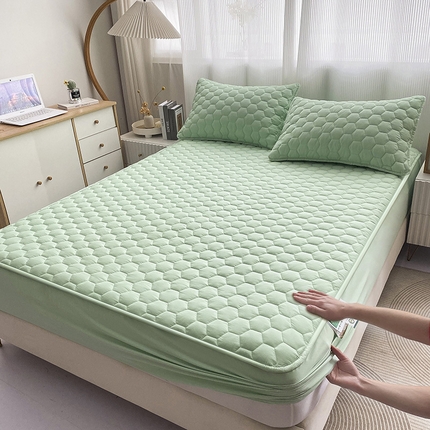 九亭家纺 2024新款A类抗菌全棉夹棉防水床笠 防水-清新绿