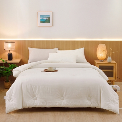 启优家纺 2024新款全棉羽丝绒被子 白色