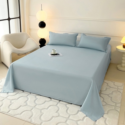 楠沐家纺  2025年新款纯色亲肤芦荟棉水洗棉床单系列床单枕套 浅灰