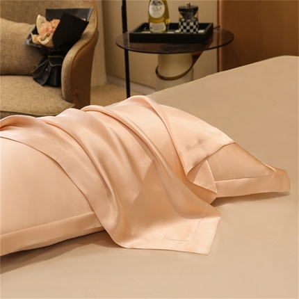 （总）凯森家纺 2024新款双面真丝宽边款枕头套枕芯套