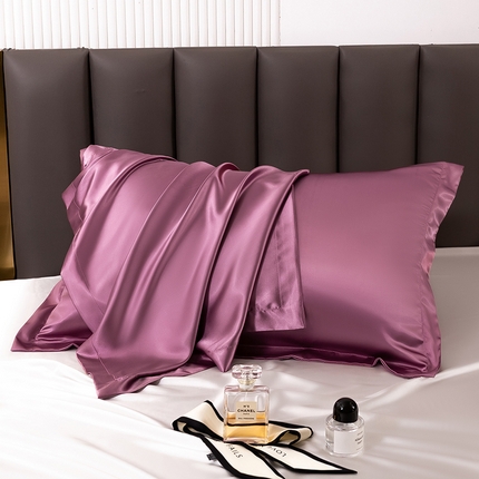 凯森家纺 2024夏季冰丝枕套天丝枕芯套可水洗高仿真丝枕头套蚕丝枕巾 压线款-豆沙