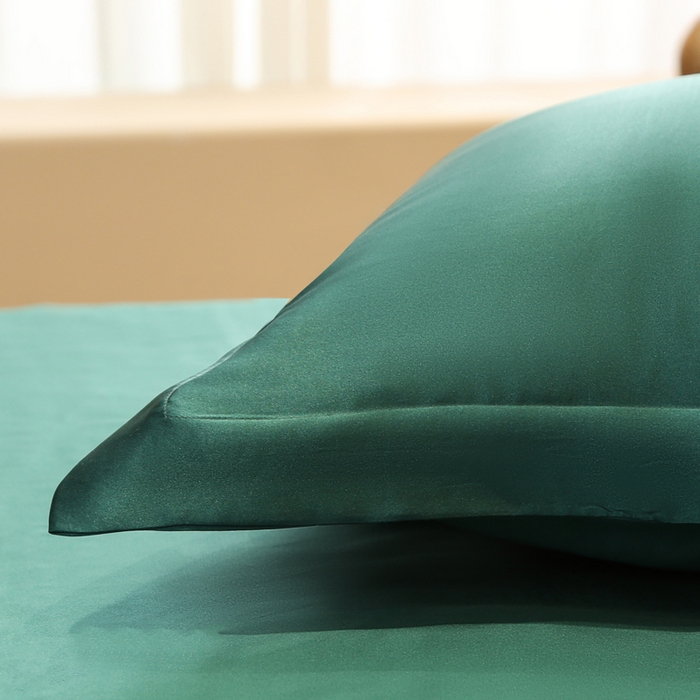 91家纺网 家纺一手货源 找家纺 凯森家纺 2024新款双面真丝宽边款枕头套枕芯套 双面孔雀绿