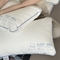 91家纺网 家纺一手货源 找家纺 （总）伟邦枕芯 2024新款A类磨毛防羽布小蓝枕头枕芯