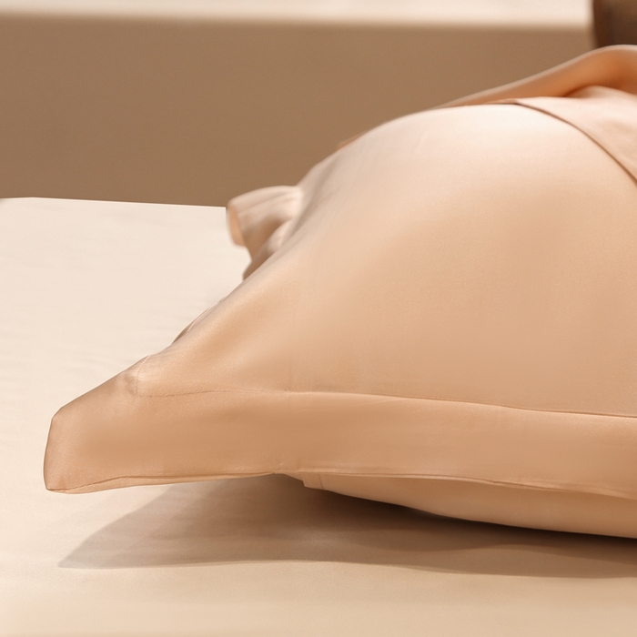 91家纺网 家纺一手货源 找家纺 凯森家纺 2024新款双面真丝宽边款枕头套枕芯套 双面香槟玉